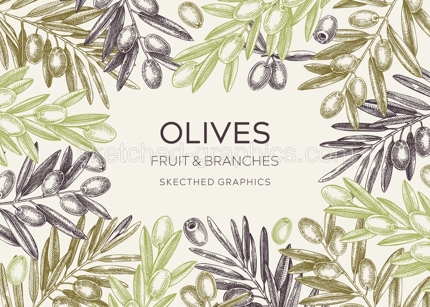 Sketched olive tree branches frame design. Hand drawn fruit and leaves background in engraved style. Vegetable oil ingredients banner template for print. Olive plant sketches in vintage colors Illustration
